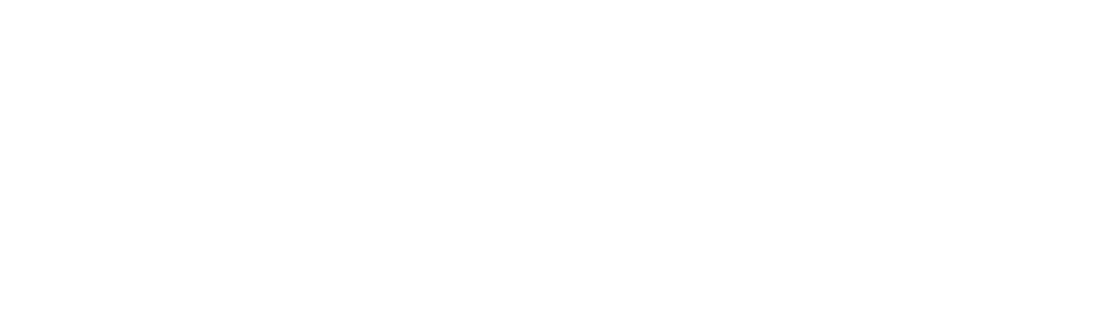 Президент — общественно-политическая газета